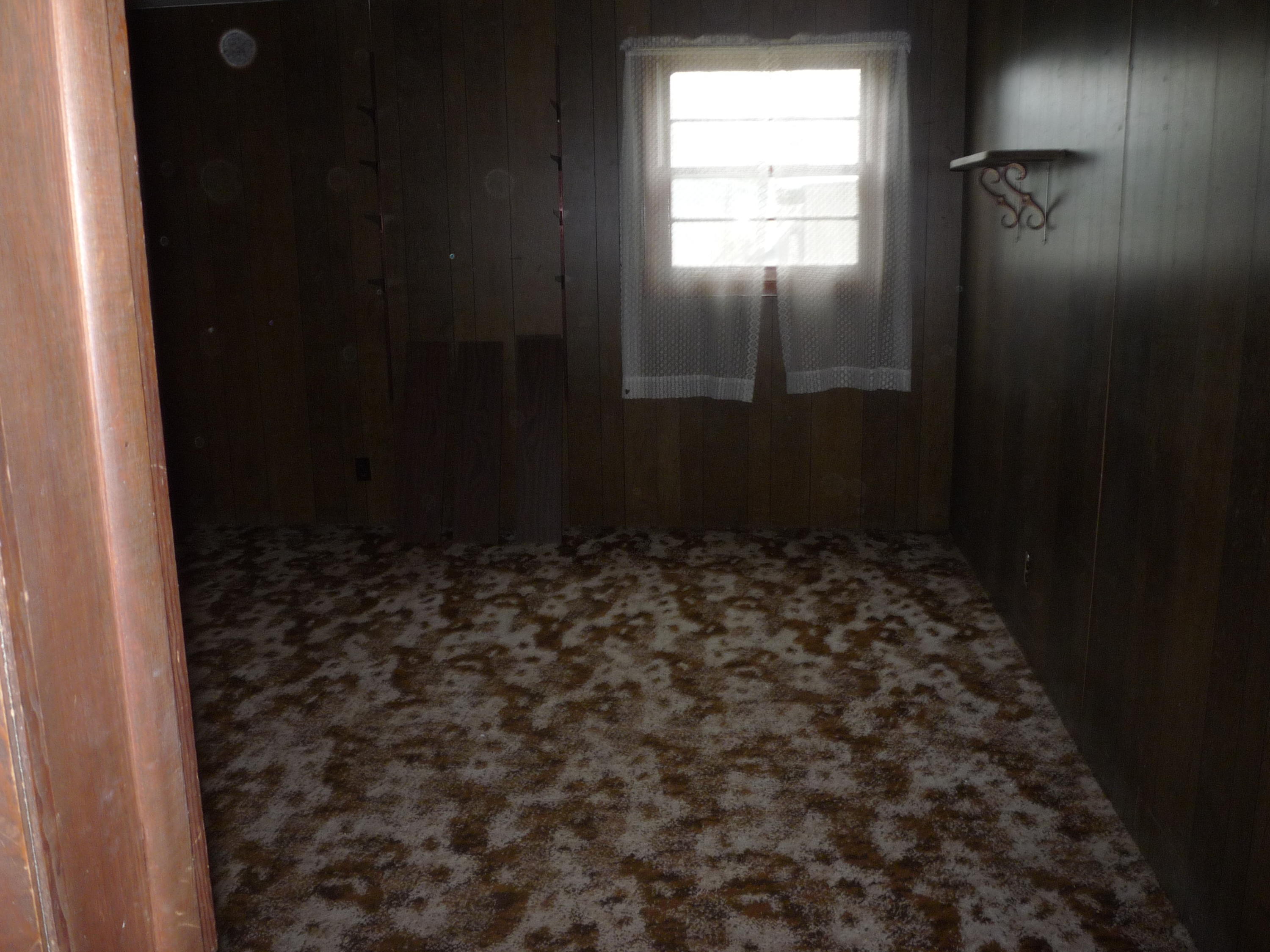427 Jonesville Road Coldwater, MI 49036 - Photo 21 of 30 P1060994