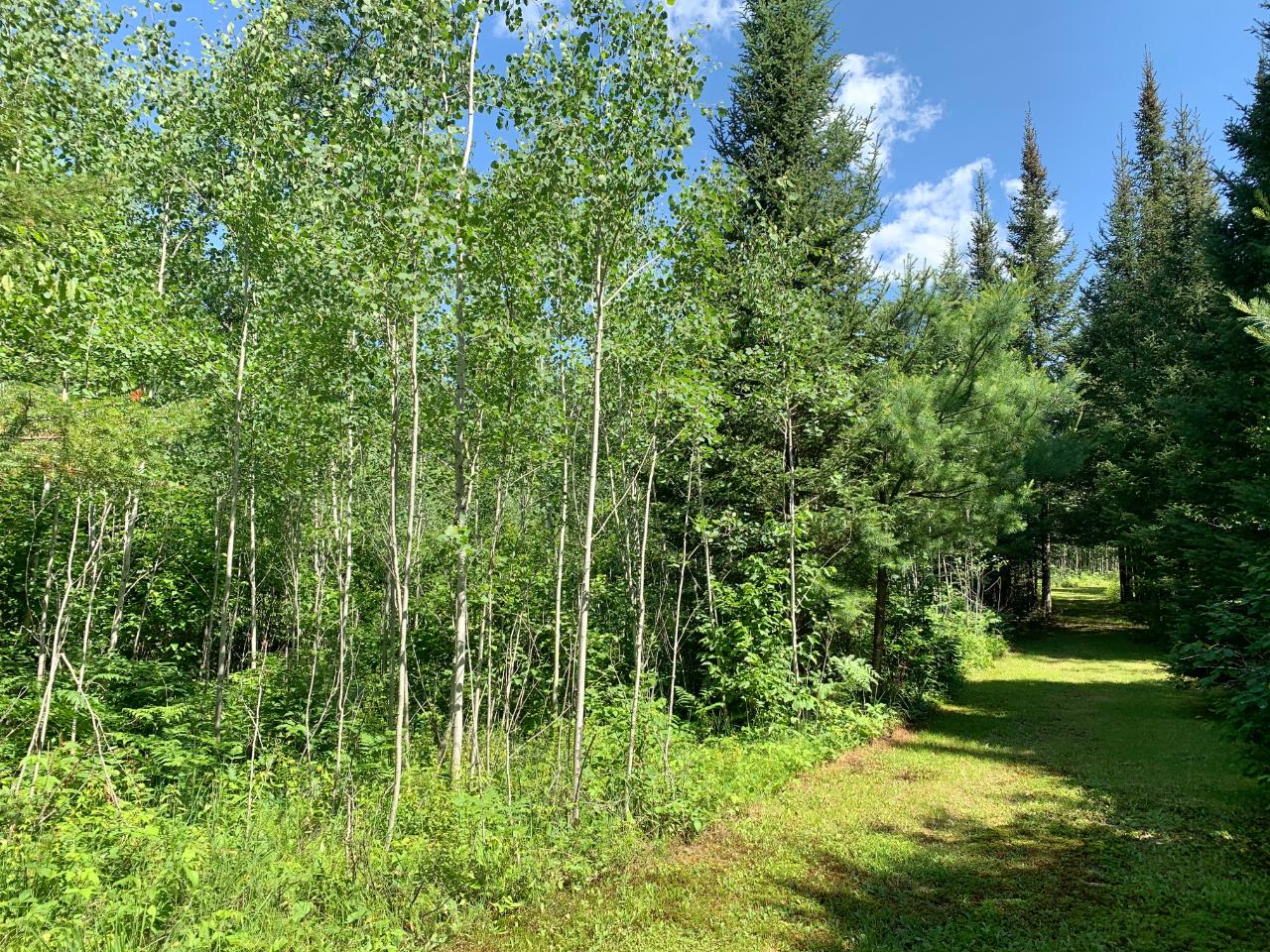 On Burnt Bridge Road, Unit LOT 1 St. Germain, WI 54558 - Photo 11 of 15 Gallery Image 11