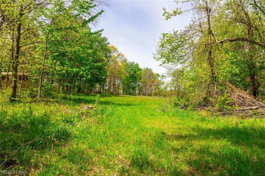 6268 Kings Ridge Road Newcomerstown, OH 43832 - Photo 23 of 46