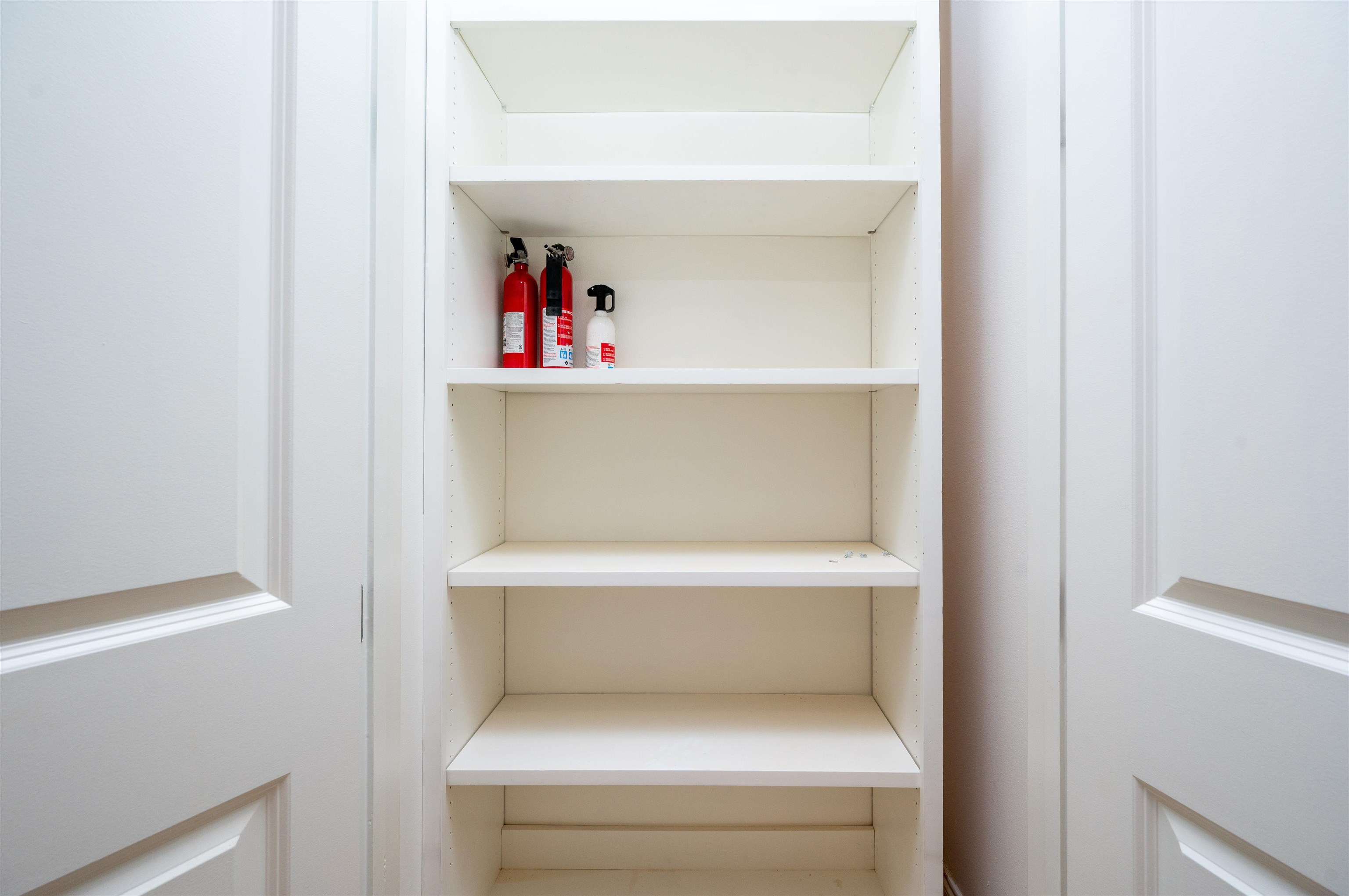 717 Riverside Drive, Unit 1506 Memphis, TN 38103 - Photo 23 of 38 a close view of closet