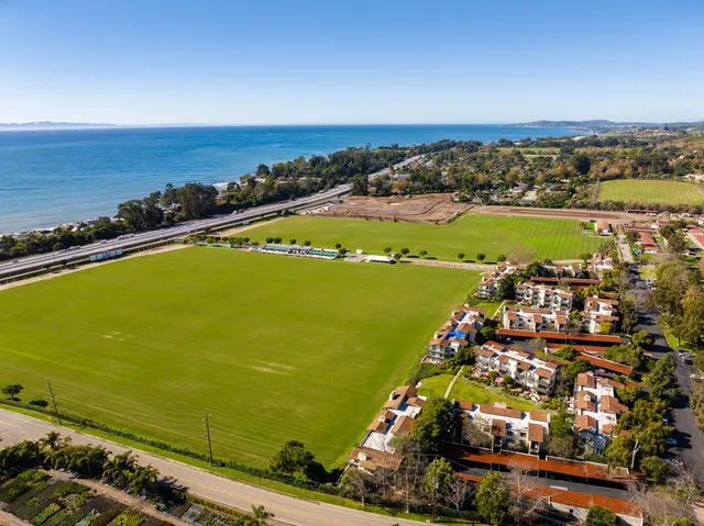 a view of a patio with table and chairs plants and large trees