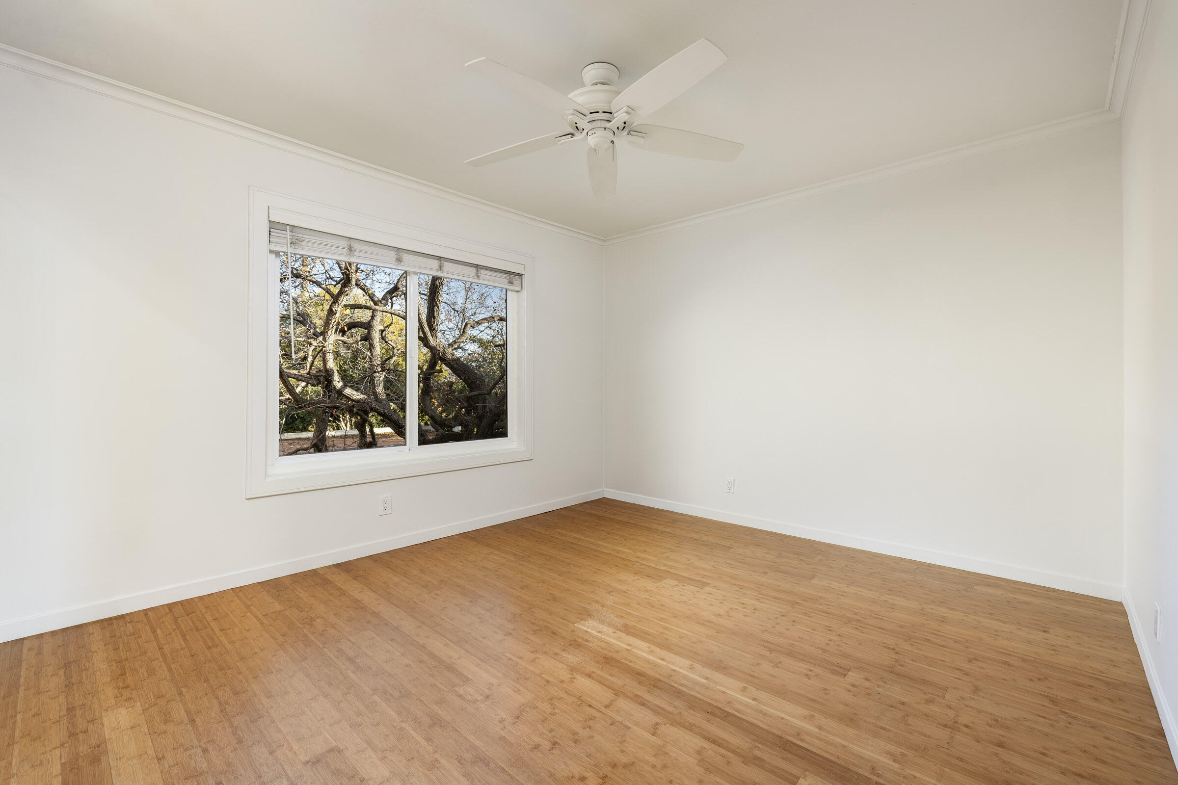 3375 Foothill Road, Unit 232 Carpinteria, CA 93013 - Photo 9 of 17 an empty room with a window and a ceiling fan