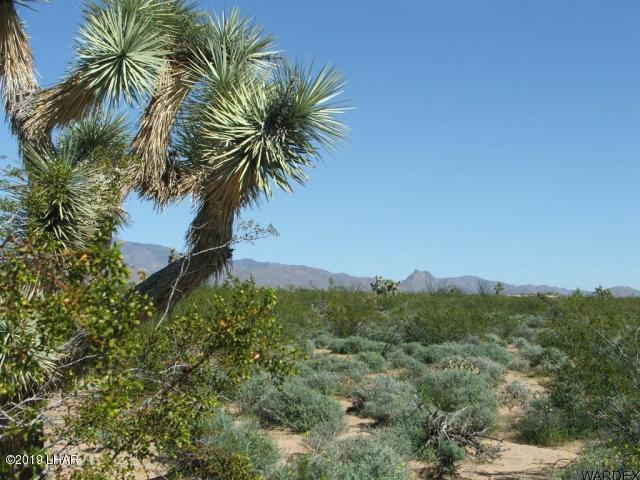 2820 South Gene Autry Road Yucca, AZ 86438 - Photo 2 of 8 20180605001234919773000000-o