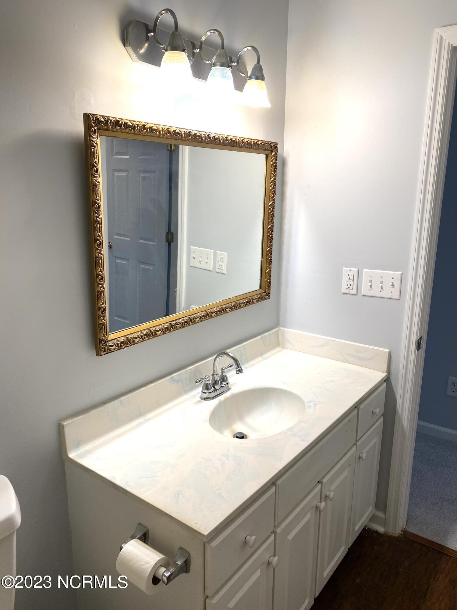 222 Venturi Drive New Bern, NC 28560 - Photo 32 of 45 hall bath