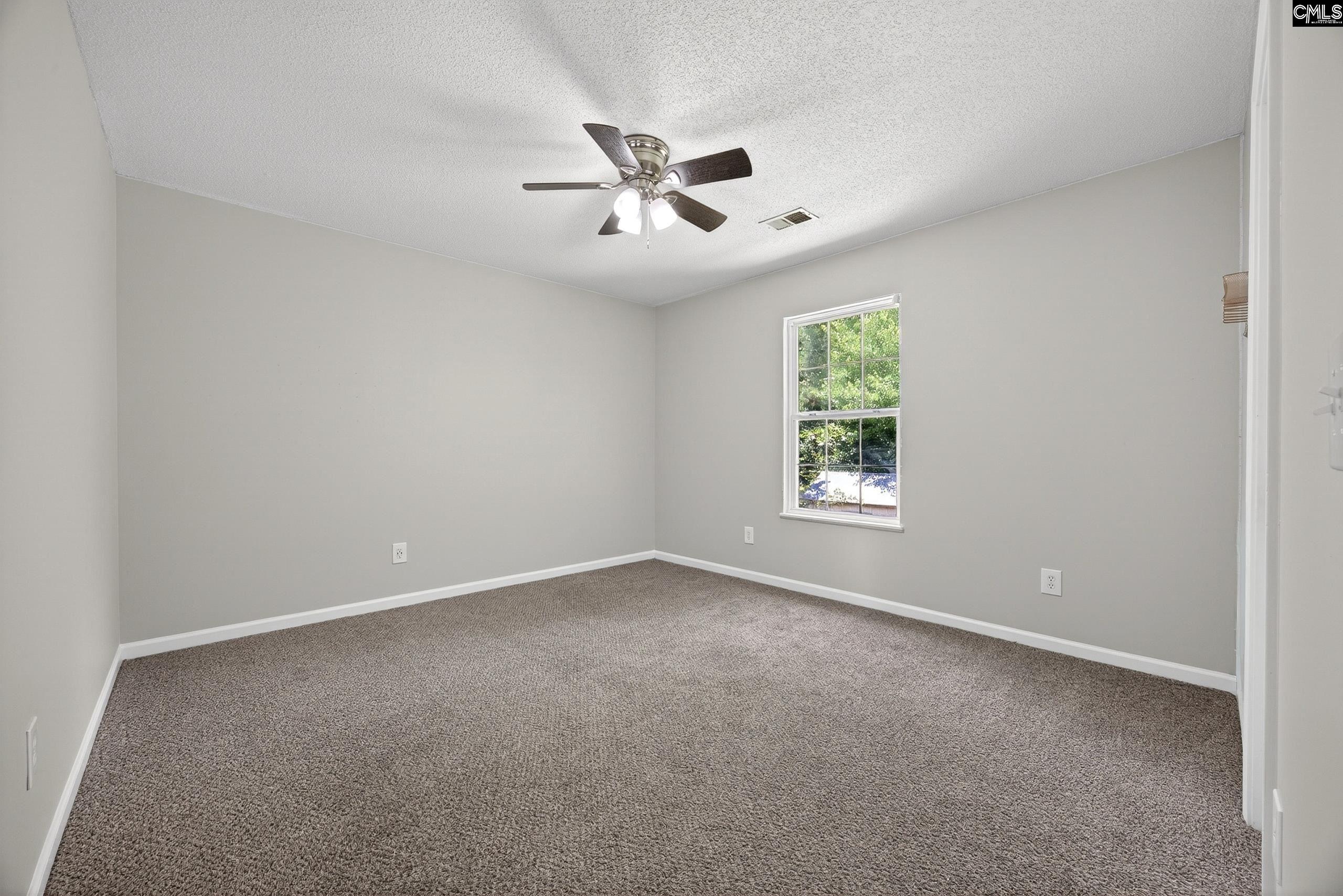 224 Walkbridge Way Chapin, SC 29036 - Photo 33 of 44