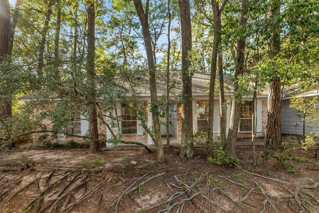 a view of backyard with trees