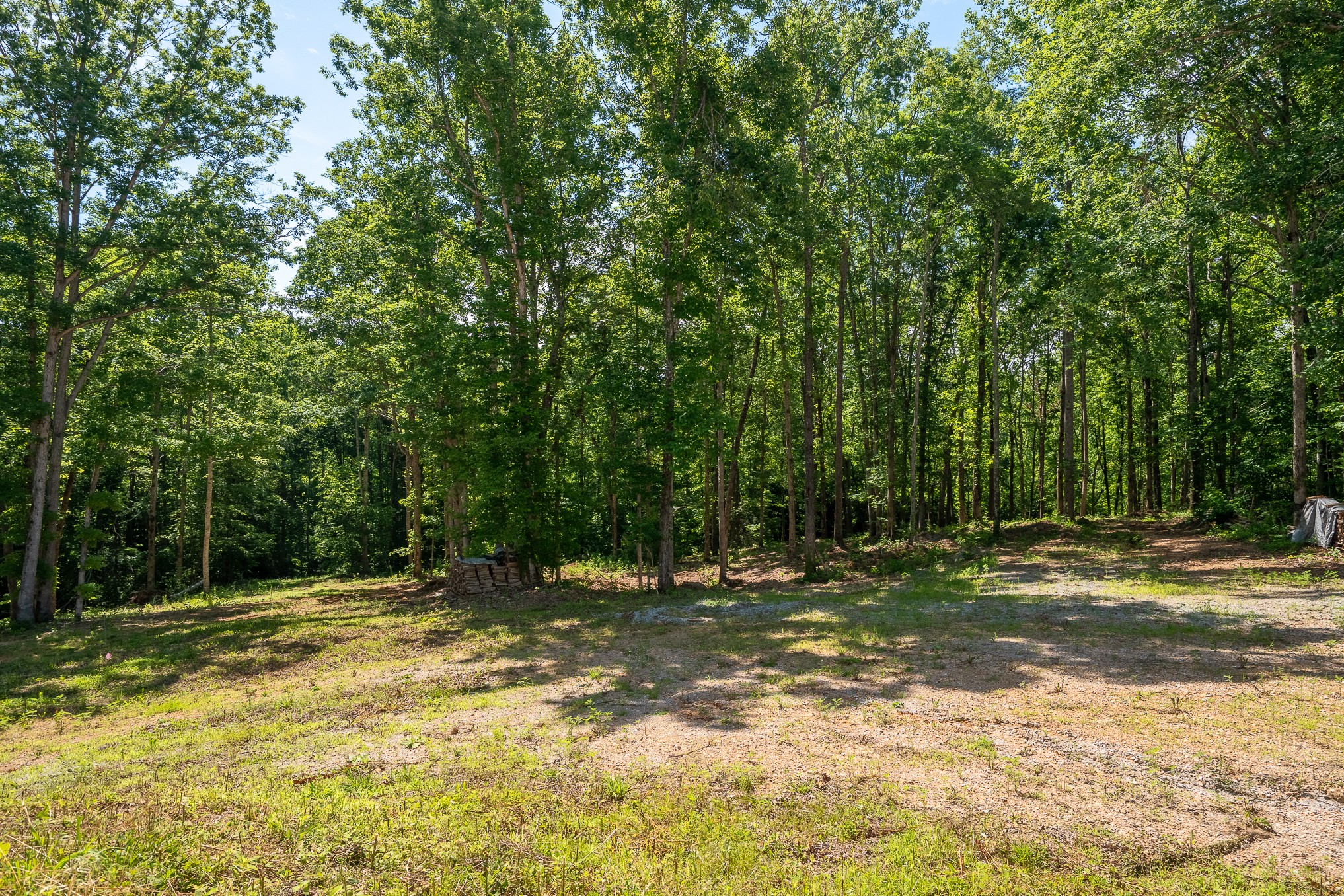 1239 Cherokee Road Waynesboro, TN 38485 - Photo 7 of 36