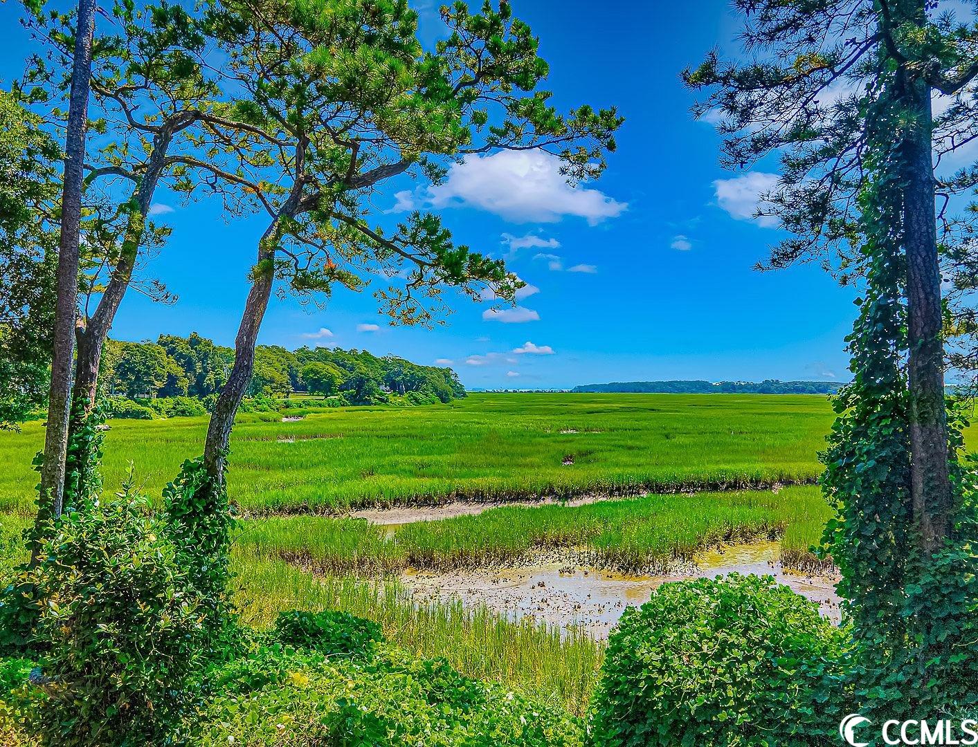 2265 Huntingdon Drive, Unit I Surfside Beach, SC 29575 - Photo 35 of 40