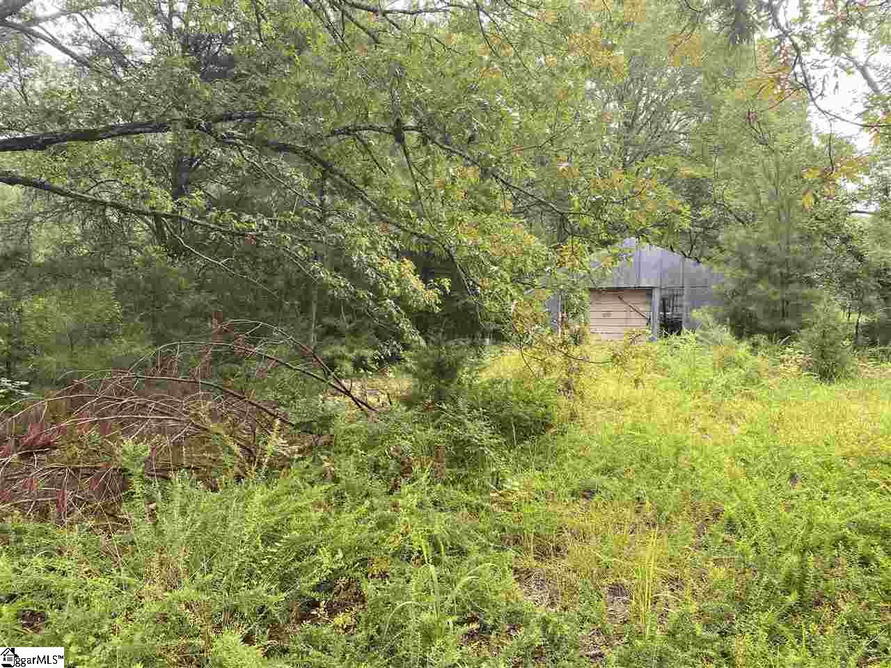 1652 State Rd S-30-82 Laurens, SC 29360 - Photo 4 of 6