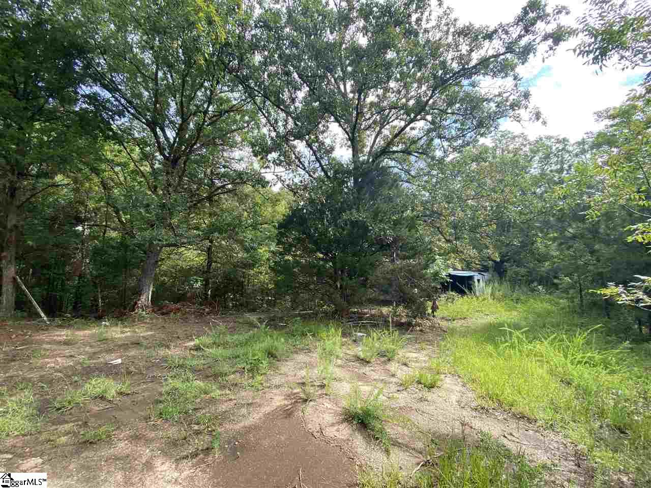 1652 State Rd S-30-82 Laurens, SC 29360 - Photo 5 of 6