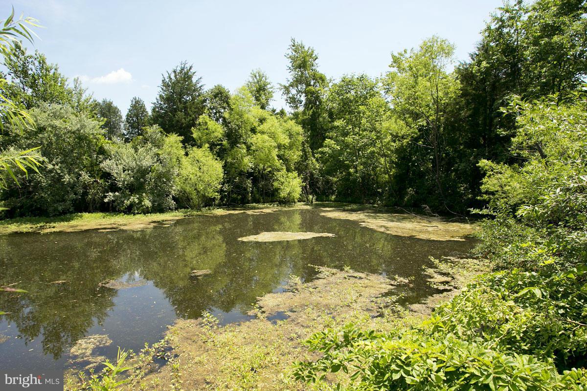 1 Huttle Road Stephens City, VA 22655 - Photo 11 of 15 a view of a swimming pool with a yard