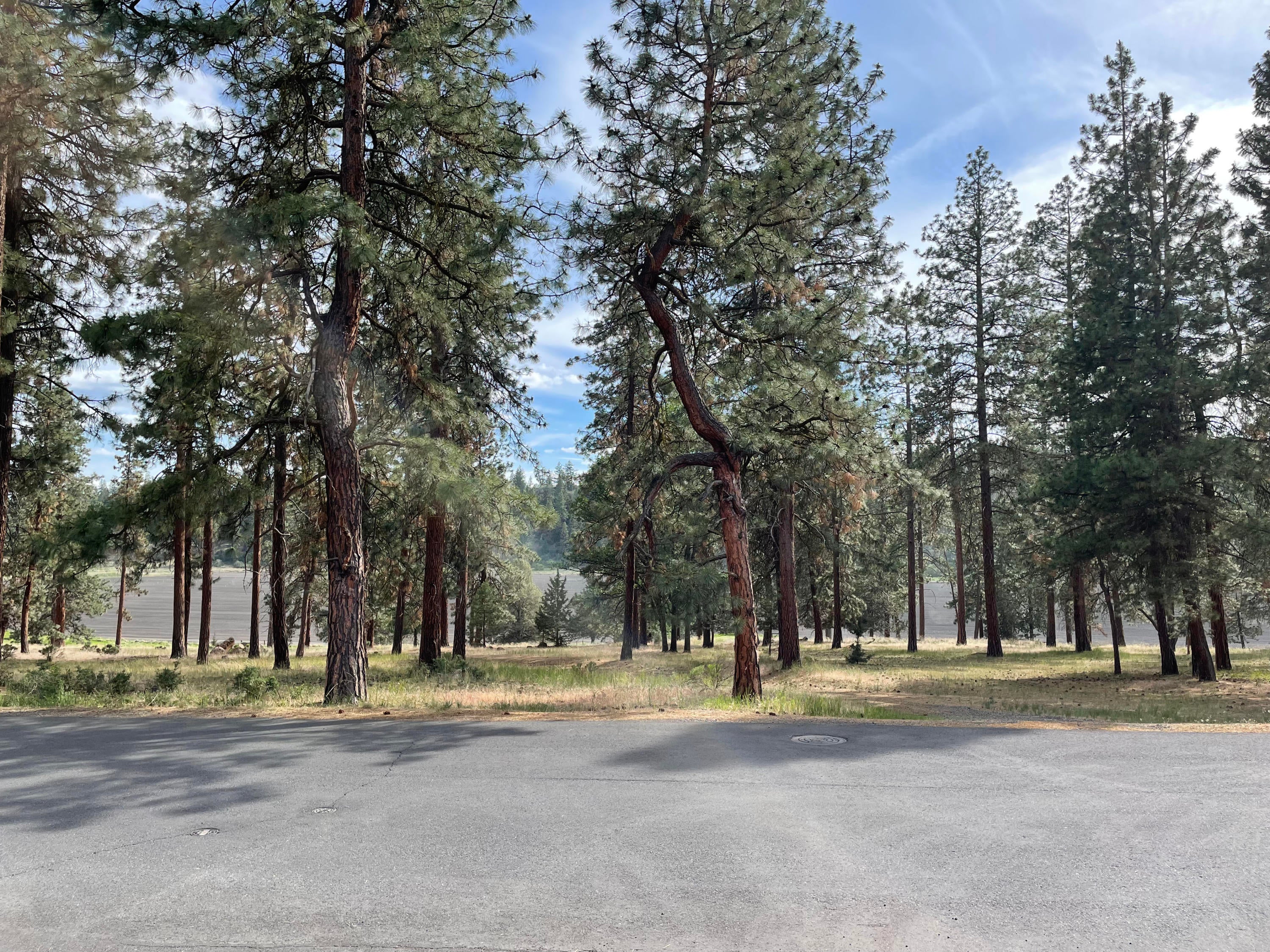 82 Merganser Road, Unit LOT 82 Klamath Falls, OR 97601 - Photo 2 of 6 IMG_0928