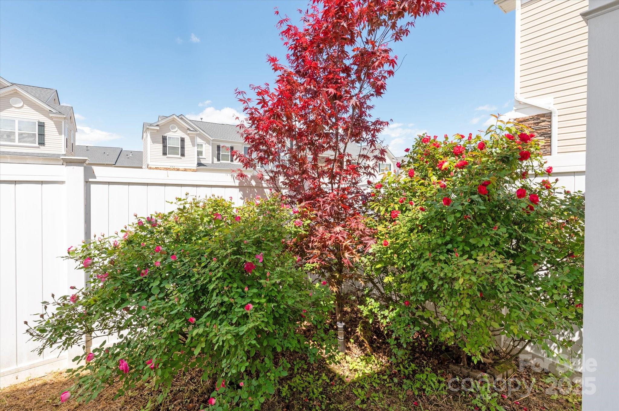 158 Council House Road Fort Mill, SC 29708 - Photo 32 of 41