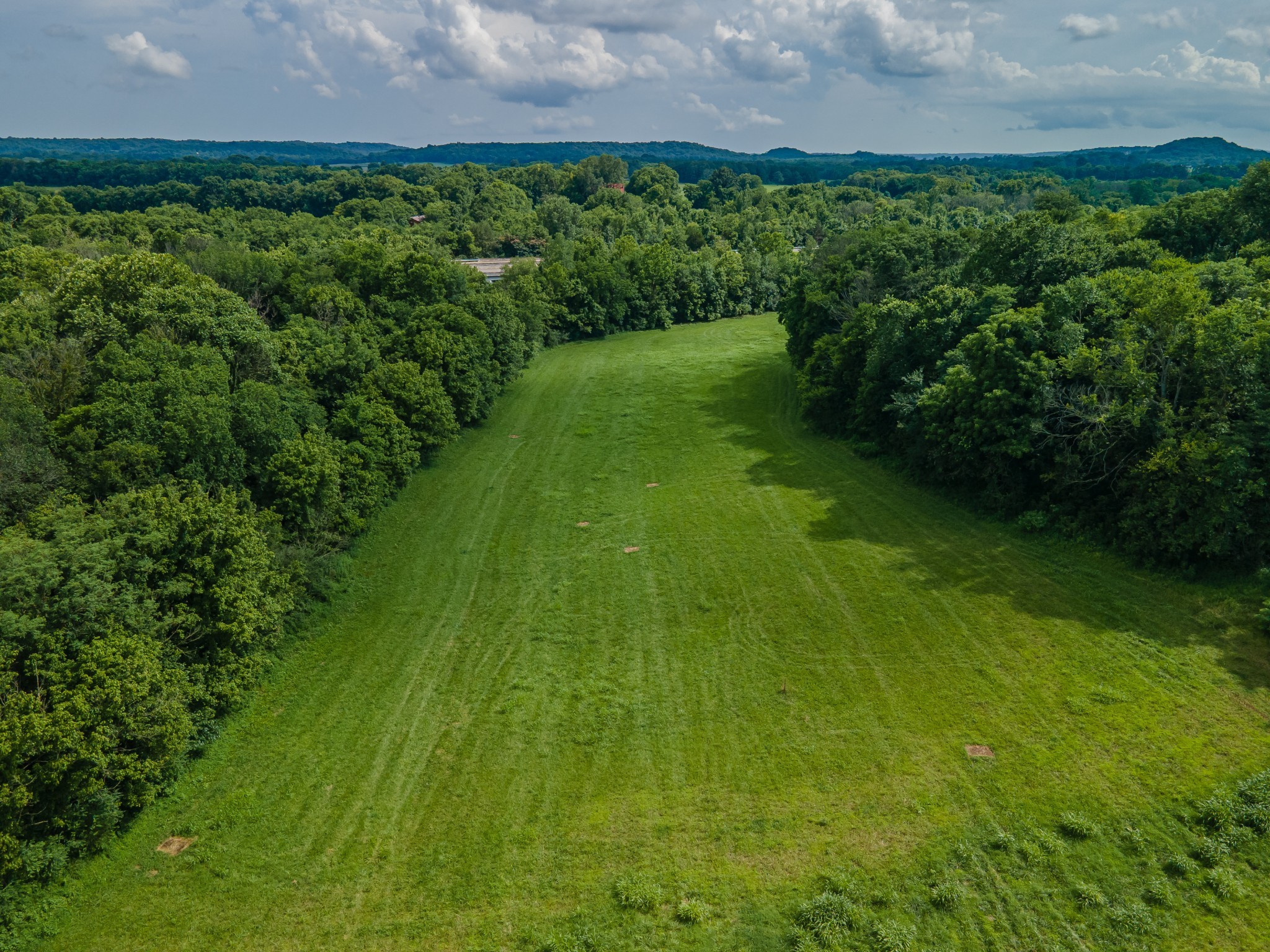 9 Old Zion Road Columbia, TN 38401 - Photo 18 of 29 a view of a big yard with green space