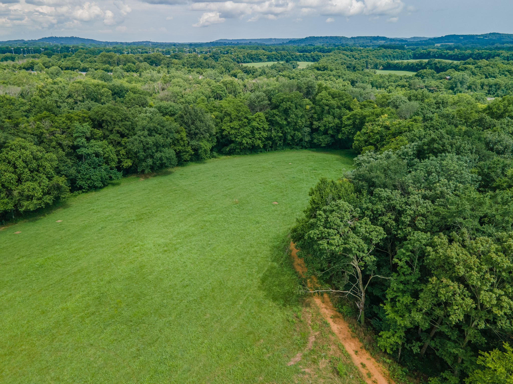 9 Old Zion Road Columbia, TN 38401 - Photo 19 of 29 a view of a lush green forest