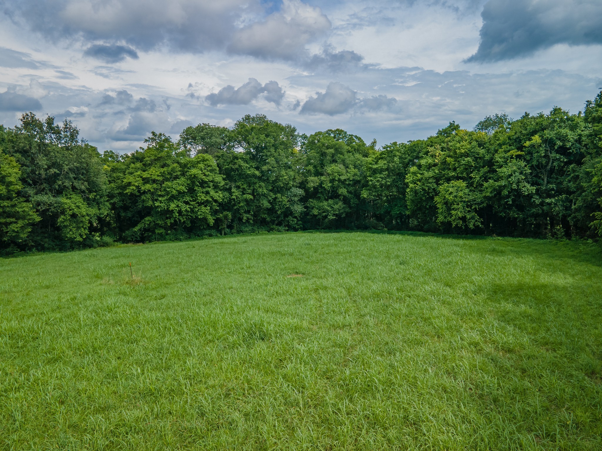9 Old Zion Road Columbia, TN 38401 - Photo 20 of 29 a view of a garden with plants and large trees