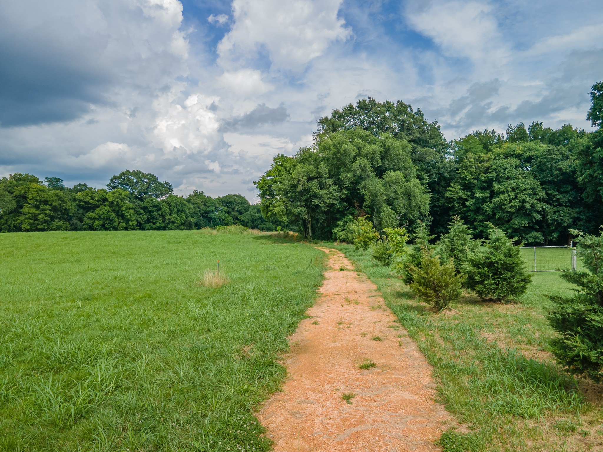 9 Old Zion Road Columbia, TN 38401 - Photo 24 of 29