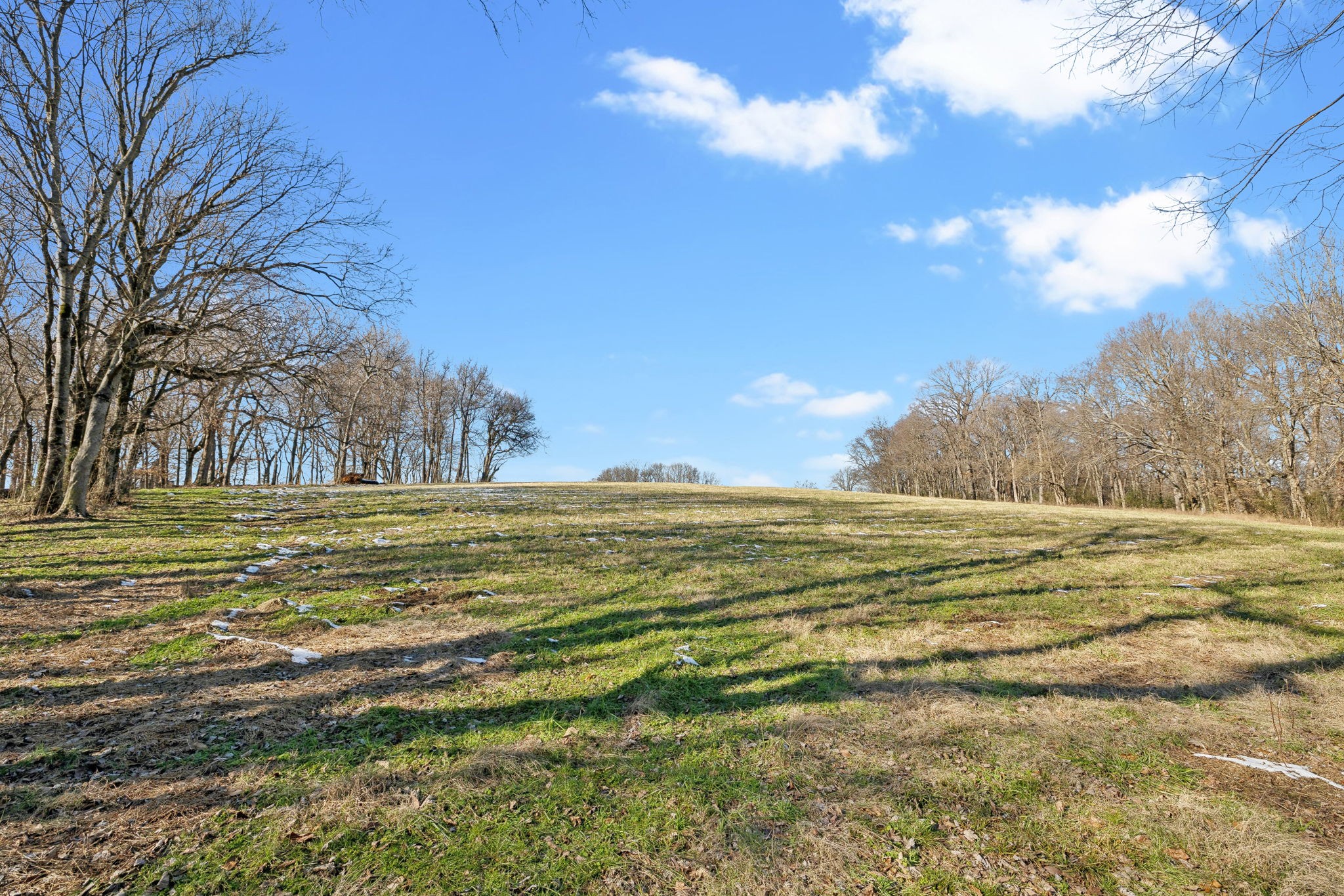 9 Old Zion Road Columbia, TN 38401 - Photo 25 of 29 a view of an ocean and beach