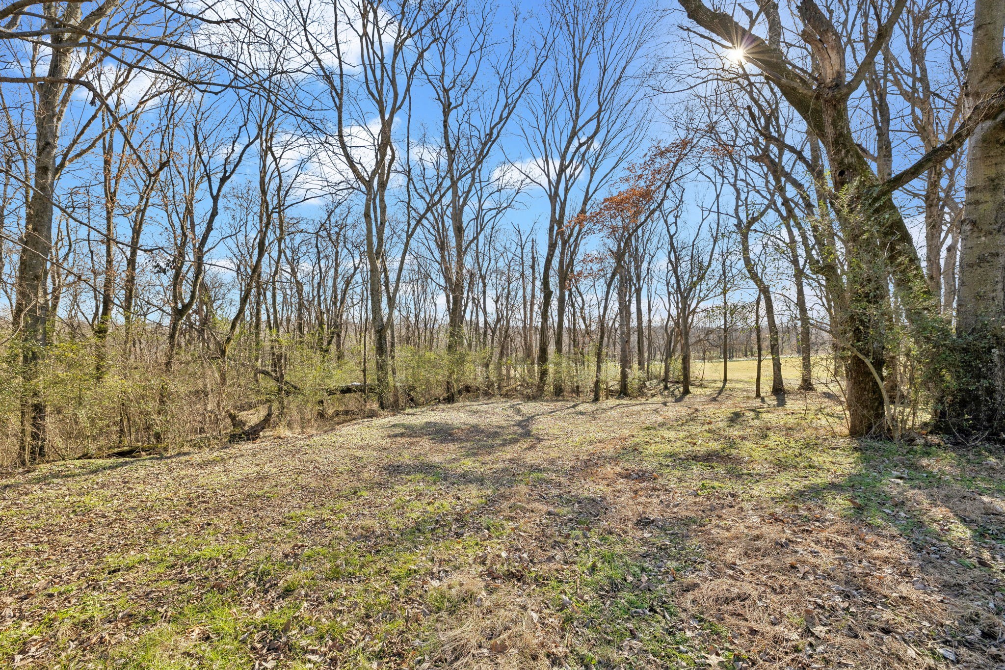 9 Old Zion Road Columbia, TN 38401 - Photo 26 of 29 a backyard of a house with a trees