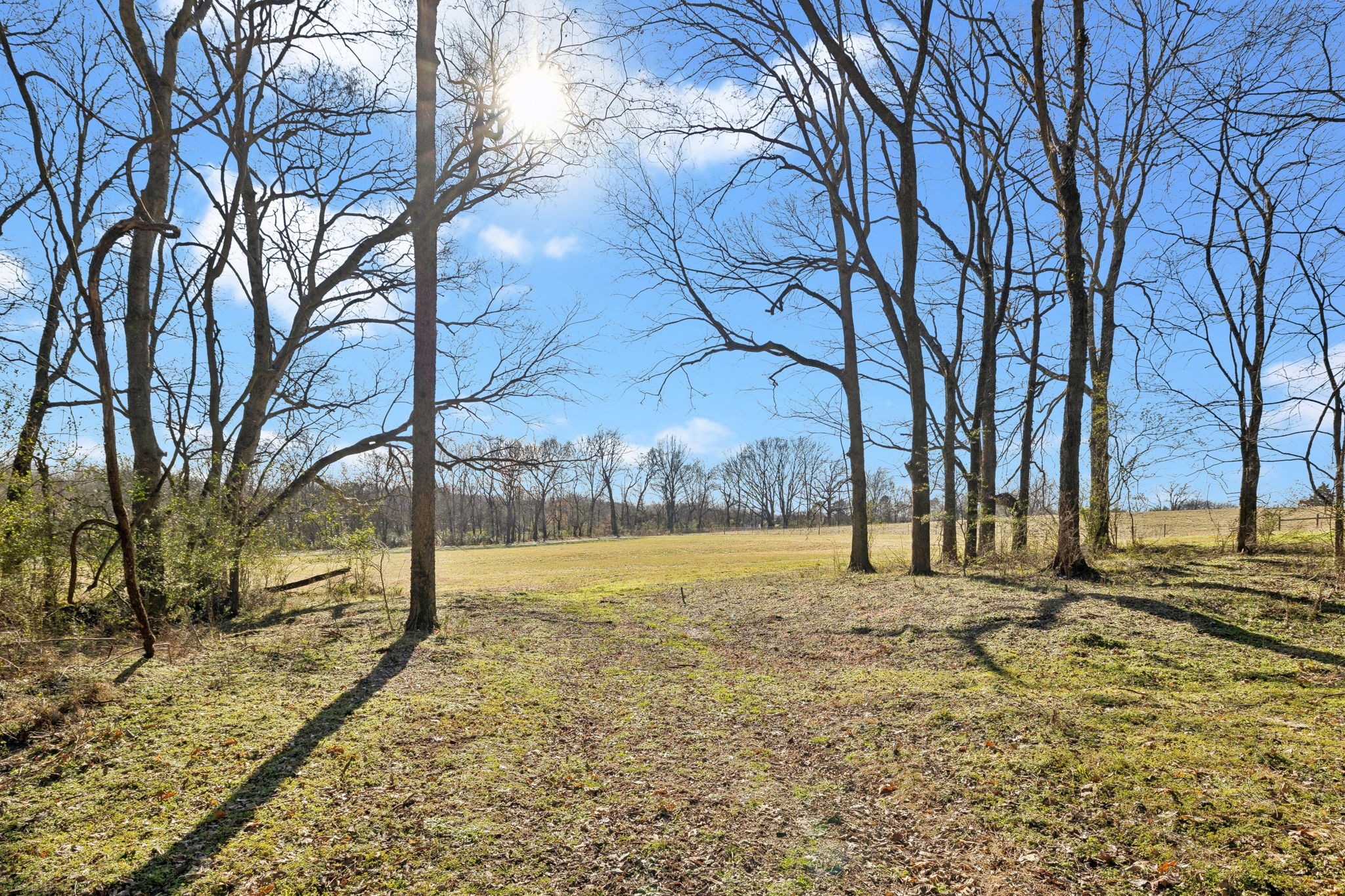 9 Old Zion Road Columbia, TN 38401 - Photo 27 of 29 a view of a yard with a tree