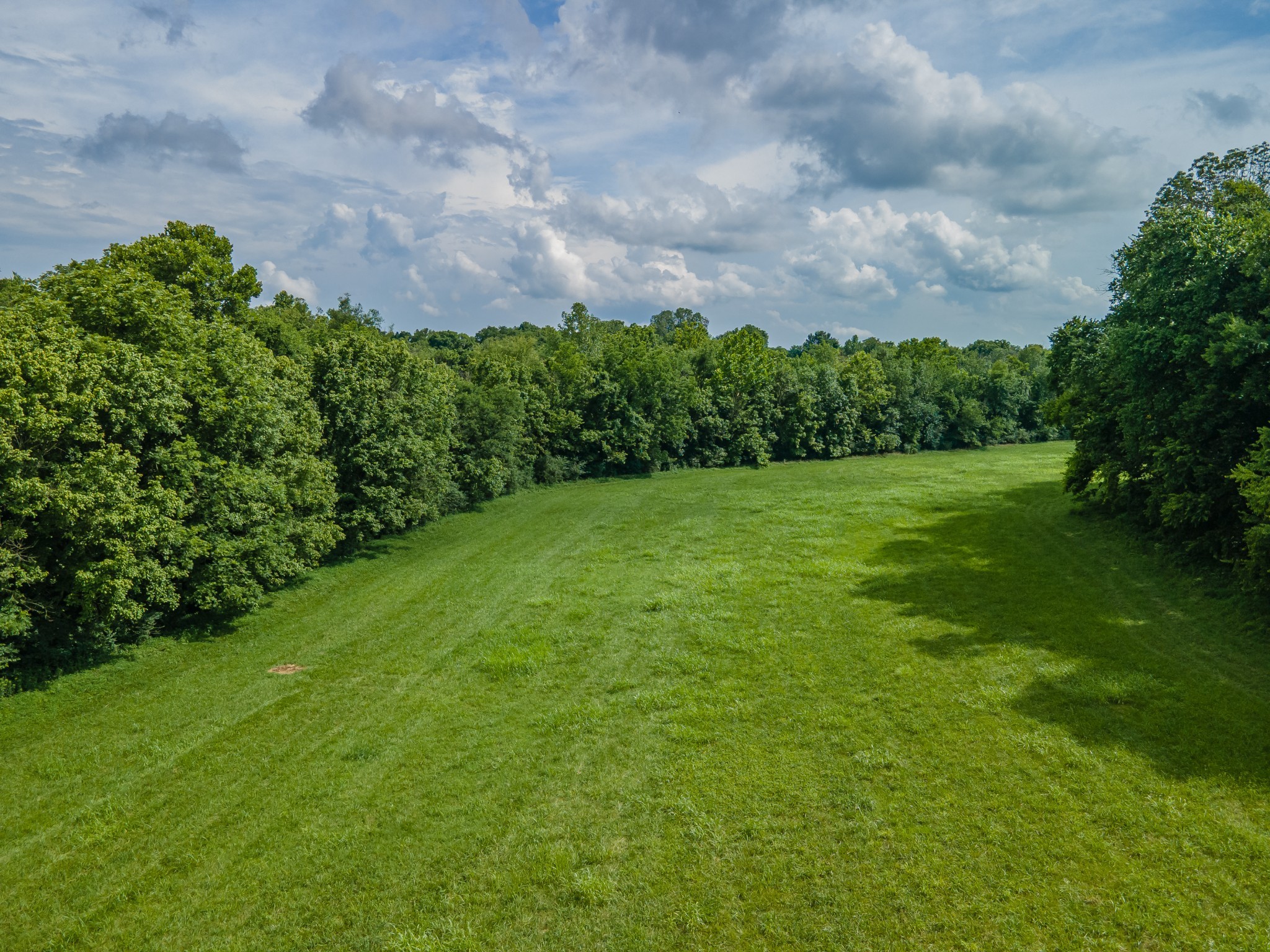 9 Old Zion Road Columbia, TN 38401 - Photo 3 of 29 a view of a big yard with plants and a bench