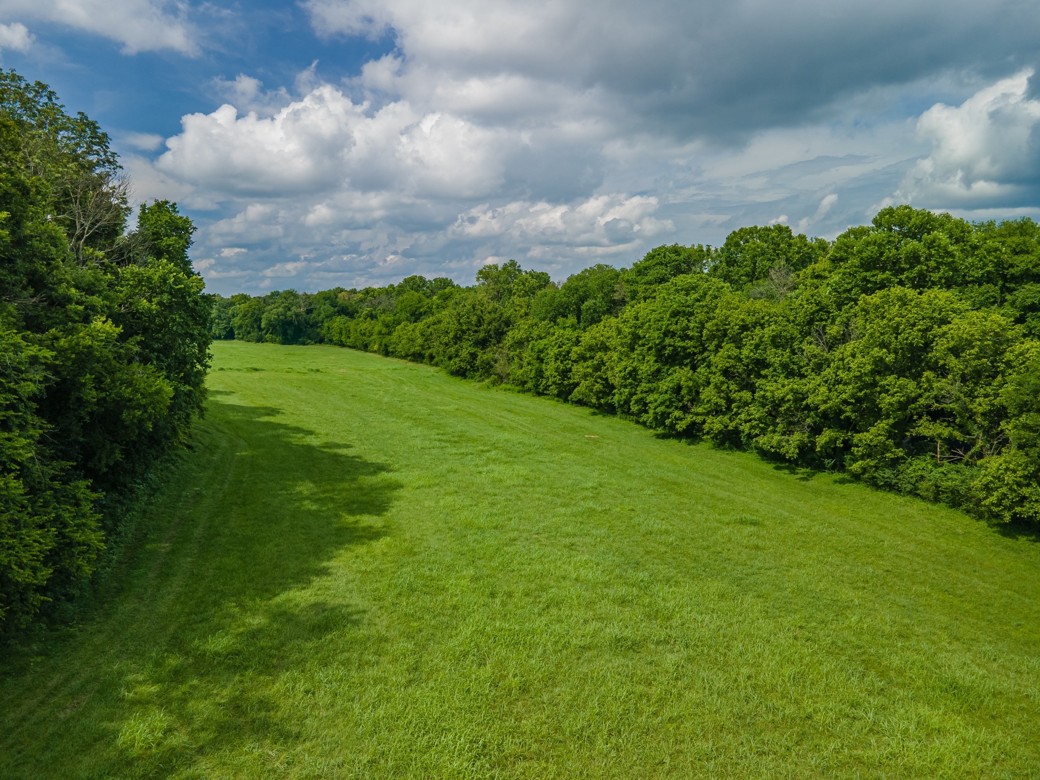 9 Old Zion Road Columbia, TN 38401 - Photo 5 of 29 a view of a big yard with plants and a garden