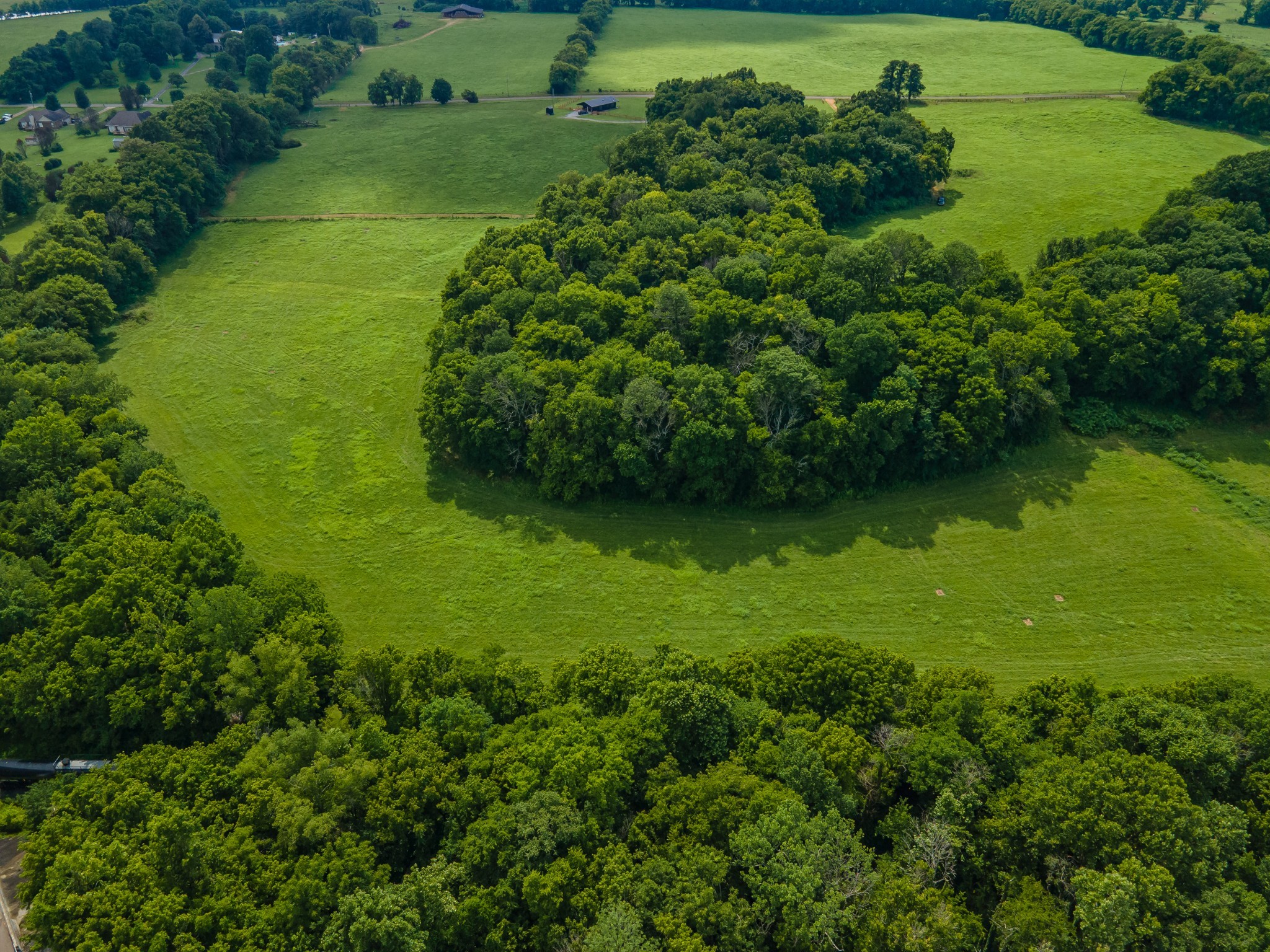 9 Old Zion Road Columbia, TN 38401 - Photo 6 of 29 an aerial view of a garden with a lake view