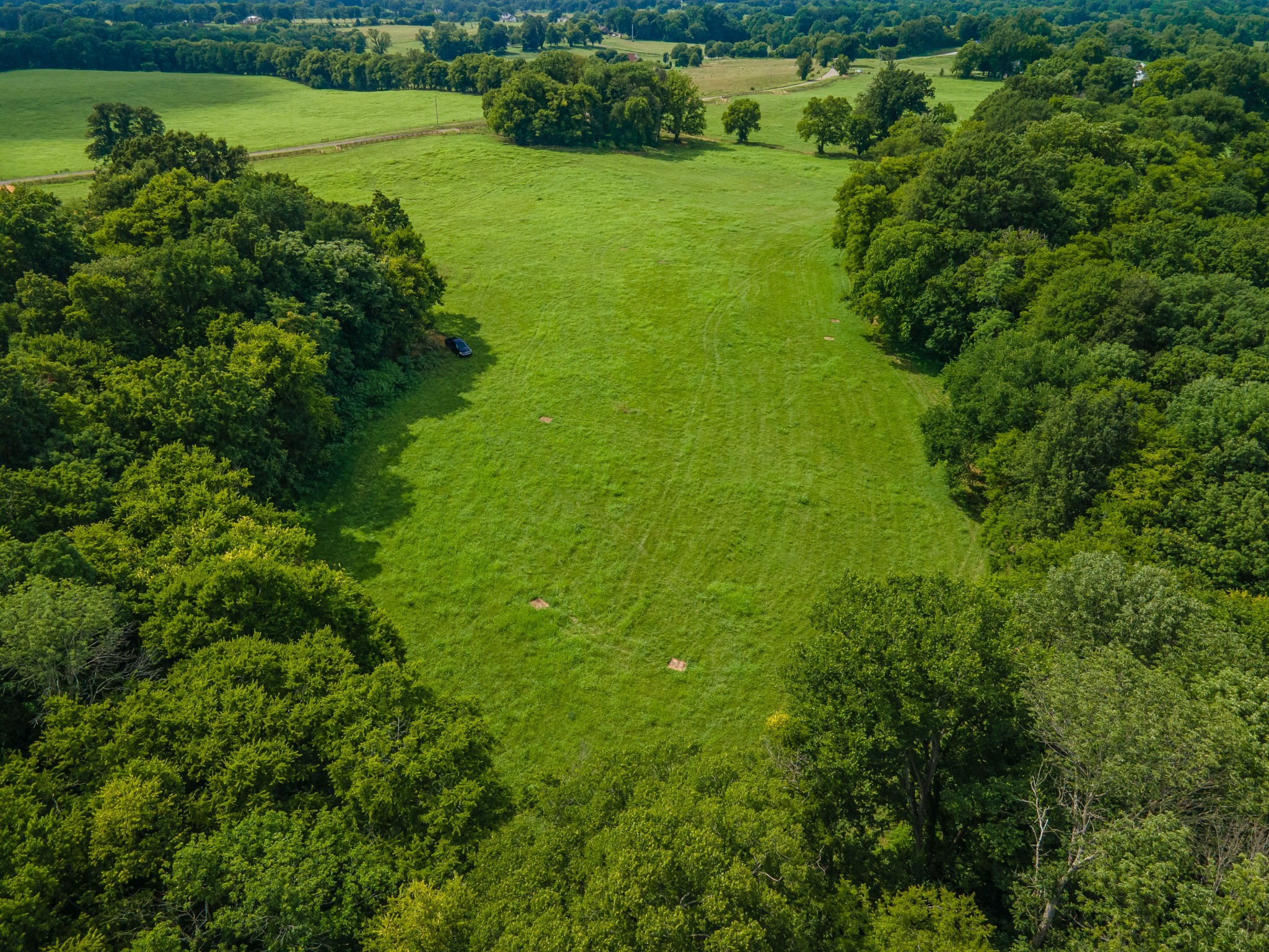 9 Old Zion Road Columbia, TN 38401 - Photo 7 of 29 a view of a garden with a lake