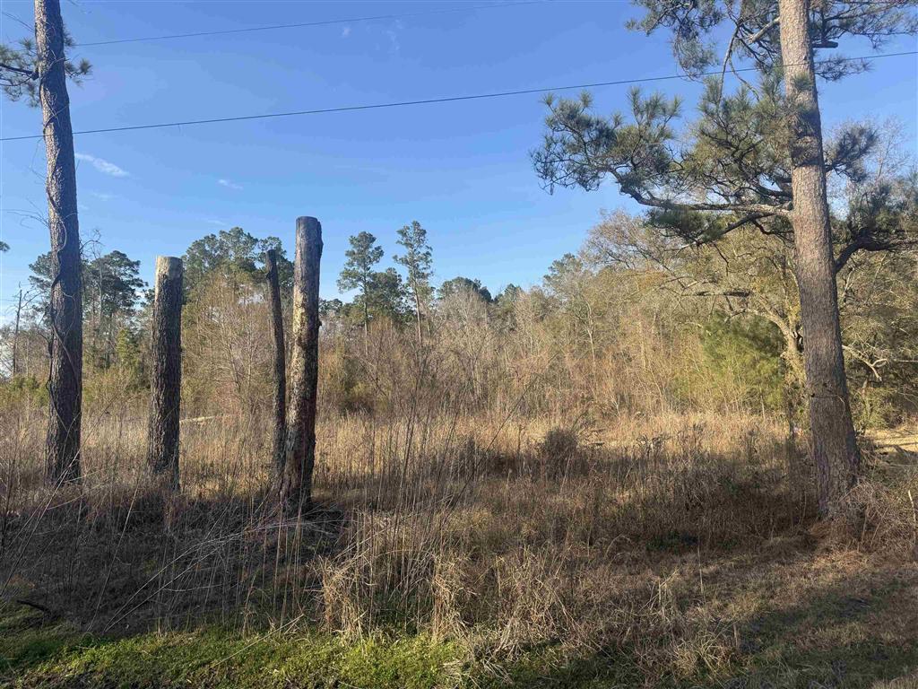 2636 Garrie Cut-Off, Unit CUT Vinton, LA 70668 - Photo 1 of 3