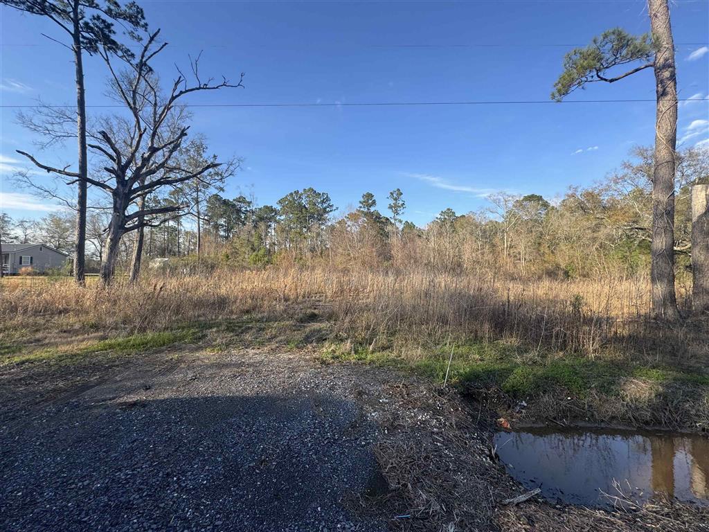 2636 Garrie Cut-Off, Unit CUT Vinton, LA 70668 - Photo 2 of 3