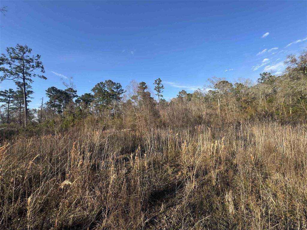 2636 Garrie Cut-Off, Unit CUT Vinton, LA 70668 - Photo 3 of 3