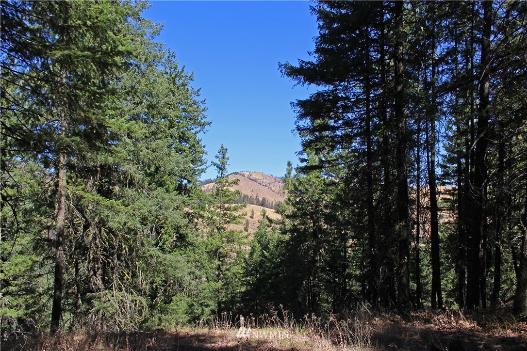 7 South Airstrip Road Twisp, WA 98856 - Photo 1 of 12 Gallery Image 1