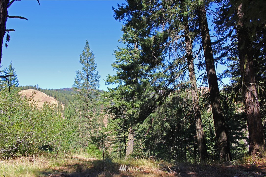 7 South Airstrip Road Twisp, WA 98856 - Photo 2 of 12 Gallery Image 2