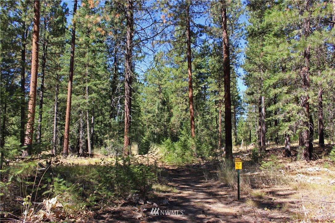 7 South Airstrip Road Twisp, WA 98856 - Photo 11 of 12 Gallery Image 11