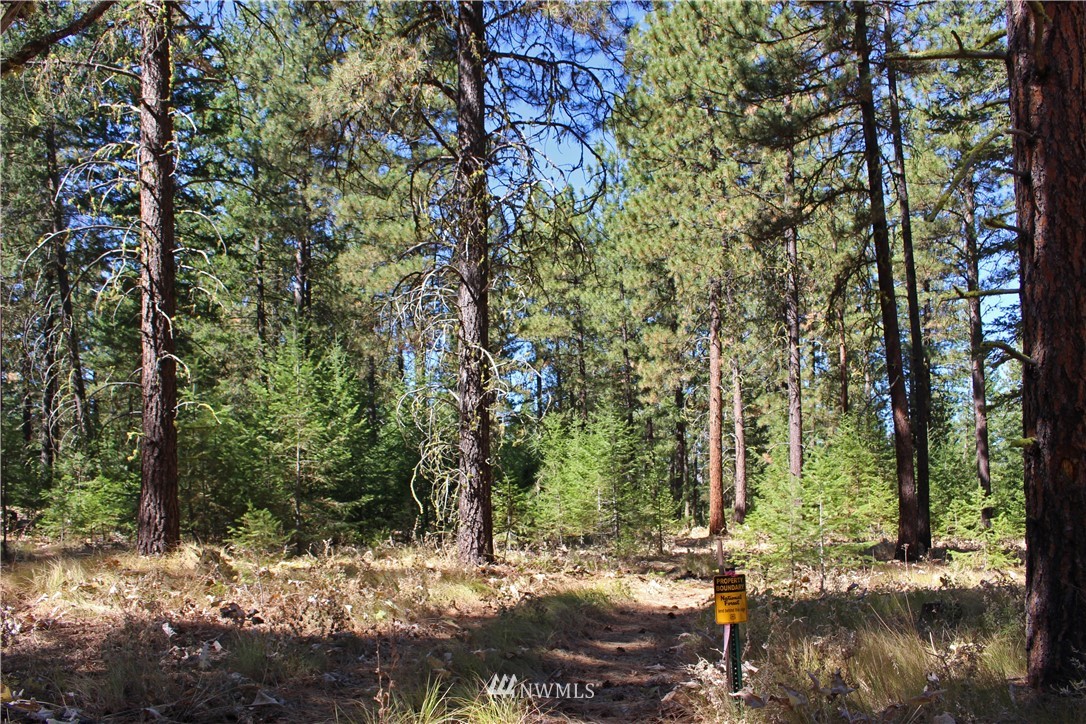 7 South Airstrip Road Twisp, WA 98856 - Photo 12 of 12 Gallery Image 12