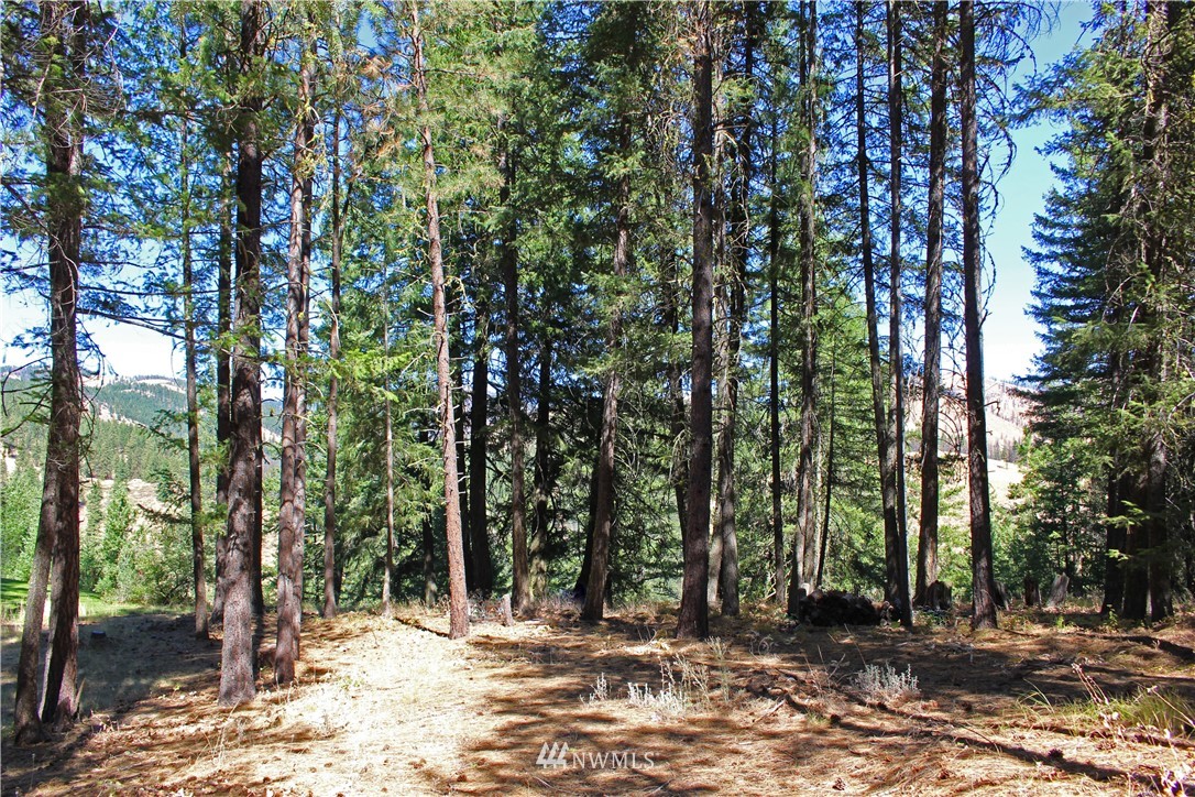 7 South Airstrip Road Twisp, WA 98856 - Photo 3 of 12 Gallery Image 3