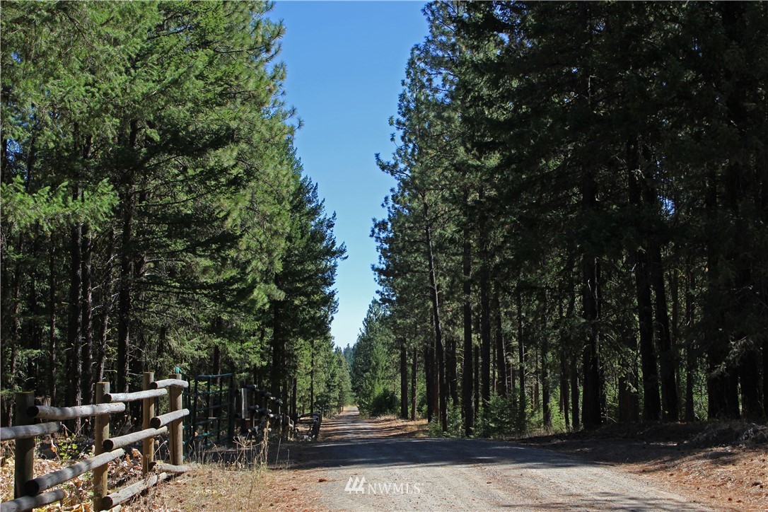 7 South Airstrip Road Twisp, WA 98856 - Photo 4 of 12 Gallery Image 4