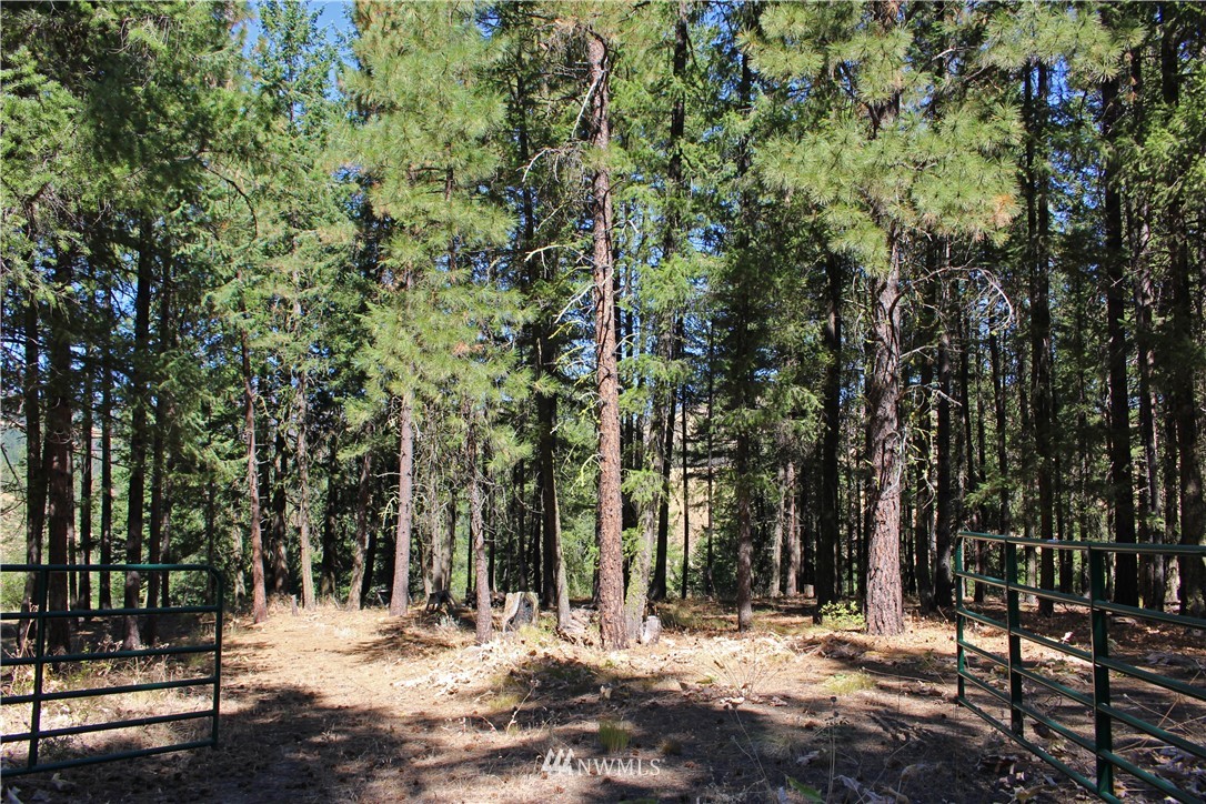 7 South Airstrip Road Twisp, WA 98856 - Photo 7 of 12 Gallery Image 7