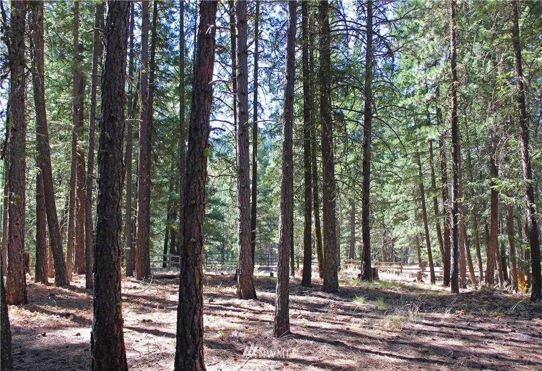 7 South Airstrip Road Twisp, WA 98856 - Photo 9 of 12 Gallery Image 9