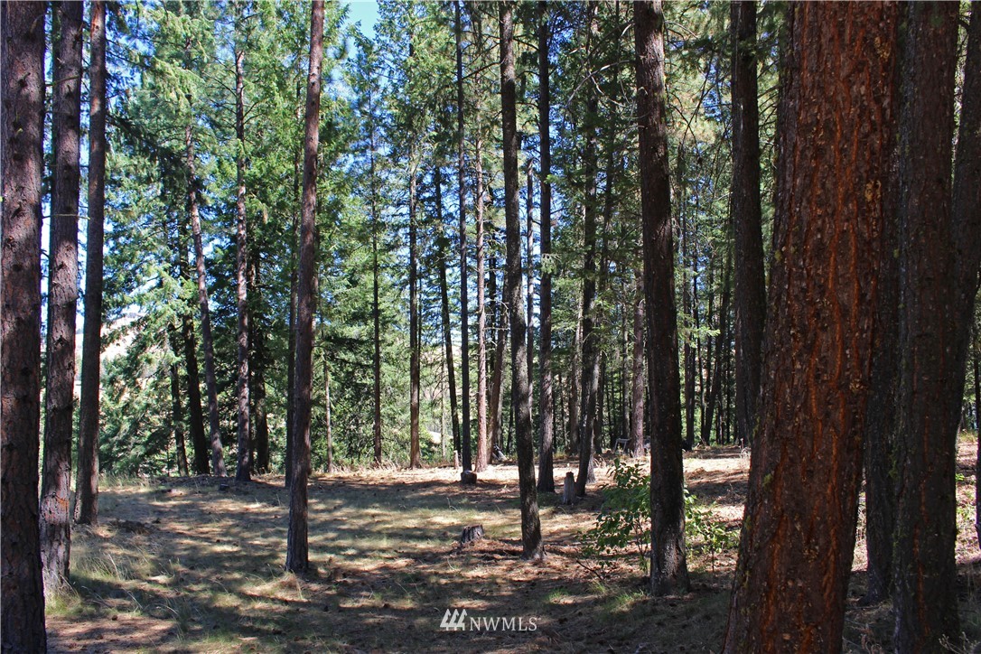 7 South Airstrip Road Twisp, WA 98856 - Photo 10 of 12 Gallery Image 10