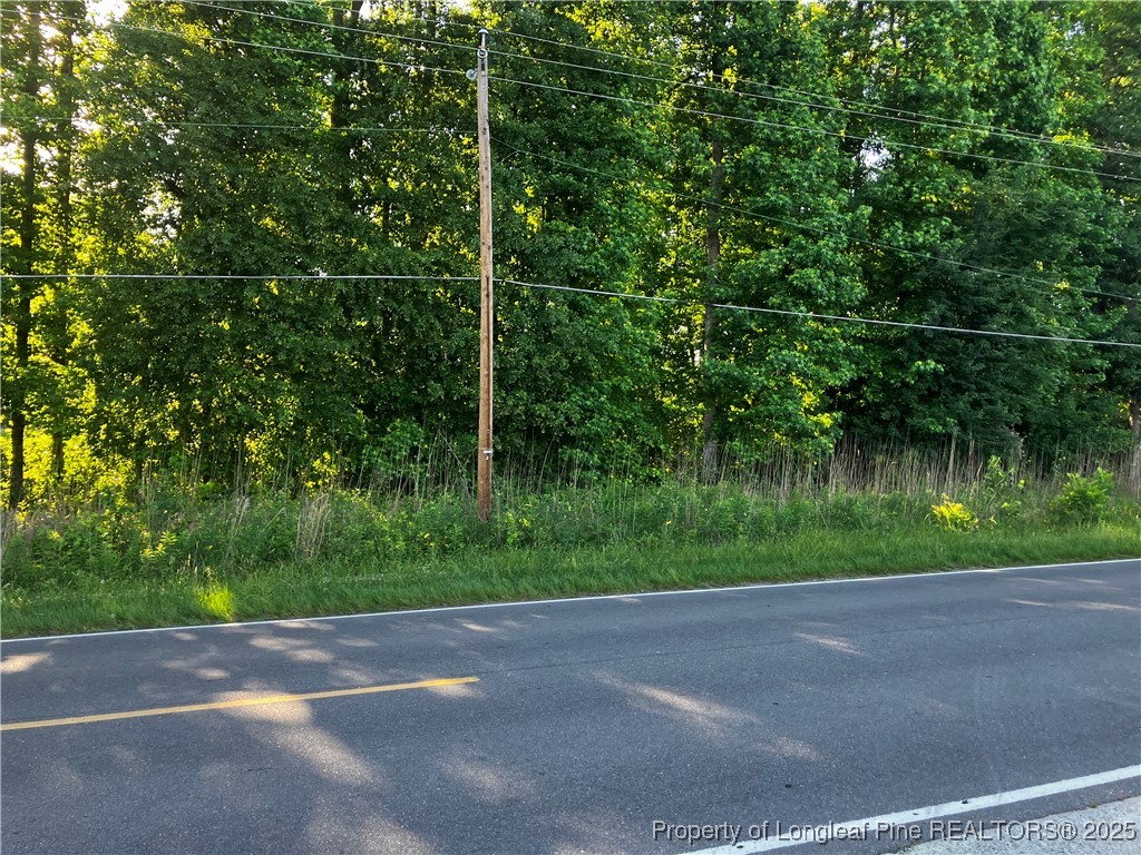 0 Lemon Springs Road Sanford, NC 27332 - Photo 3 of 7