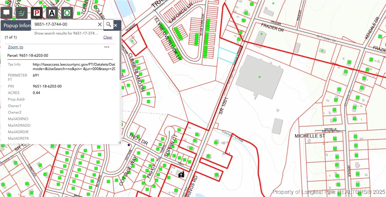 0 Lemon Springs Road Sanford, NC 27332 - Photo 4 of 7