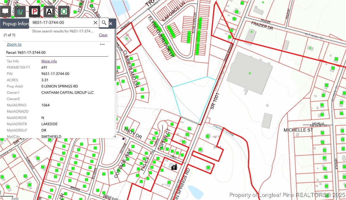 0 Lemon Springs Road Sanford, NC 27332 - Photo 6 of 7