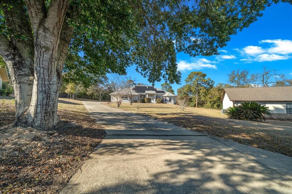 10308 Southwest 83rd Terrace Ocala, FL 34481 - Photo 18 of 75 a view of yard with tree s