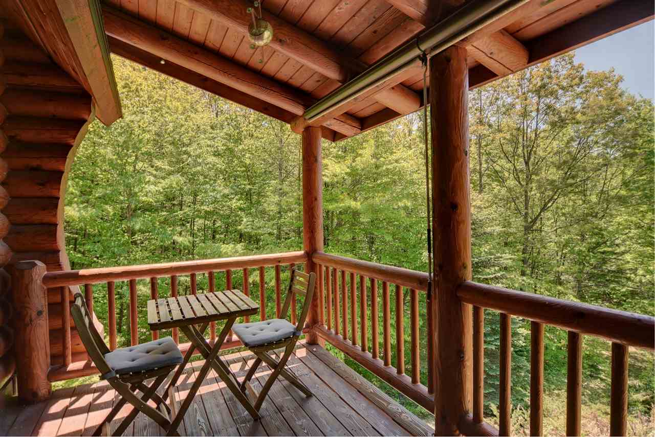 9770 Springvale Road Boyne Falls, MI 49713 - Photo 5 of 41 1875755-4.JPG