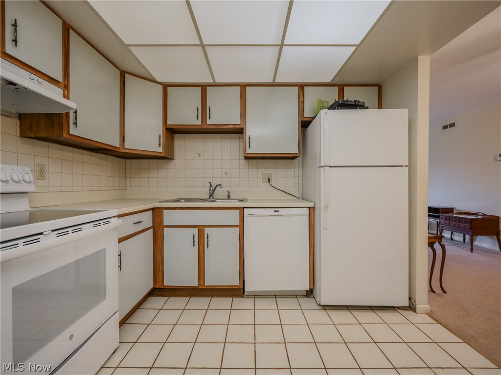 22972 Maple Ridge Road, Unit 108 North Olmsted, OH 44070 - Photo 22 of 31 Gallery Image 22