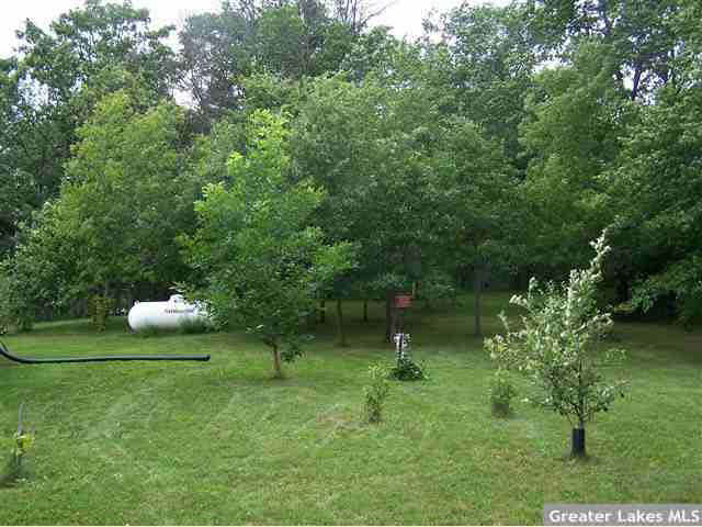 18022 273rd Street Fort Ripley, MN 56449 - Photo 6 of 8 Gallery Image 6