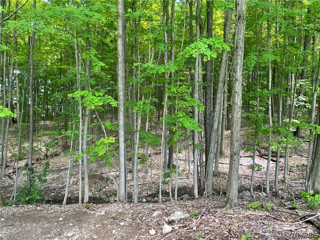 11151 Beech Tree Road West Valley, NY 14171 - Photo 1 of 1 Gallery Image 1
