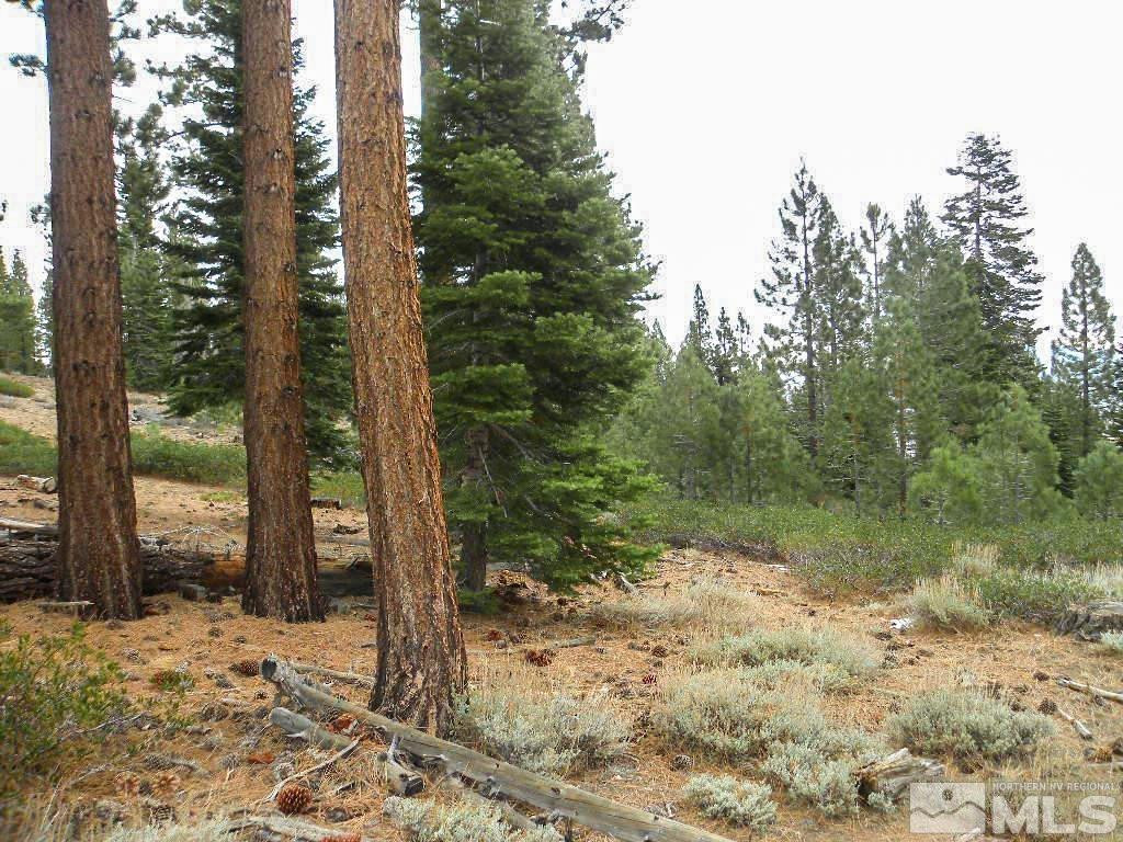 0 Kings Canyon Road Carson City, NV 89703 - Photo 4 of 11 Photo 4