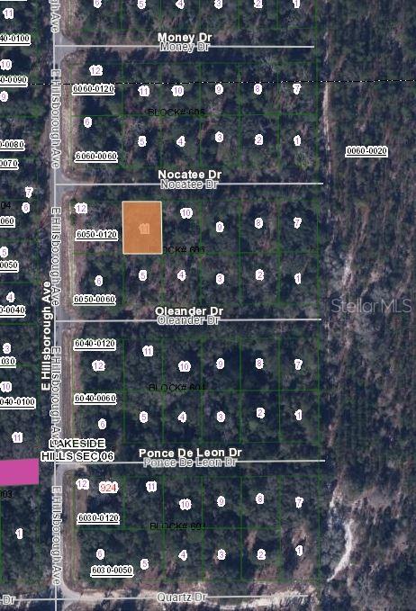 103 Nocatee Drive Florahome, FL 32140 - Photo 2 of 3